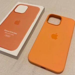 iPhone 13 Pro Max Apple silicone case.